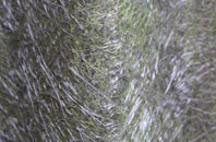 Rivington fibreglass roof work